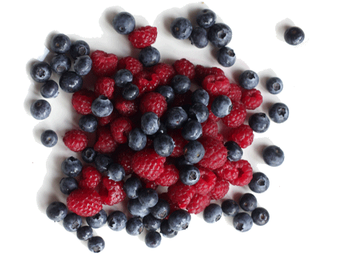 home-berries